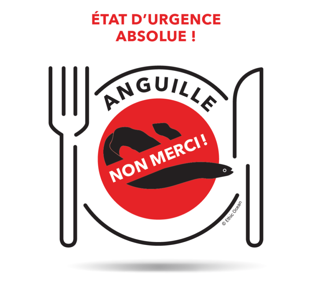 Logo Anguille non merci